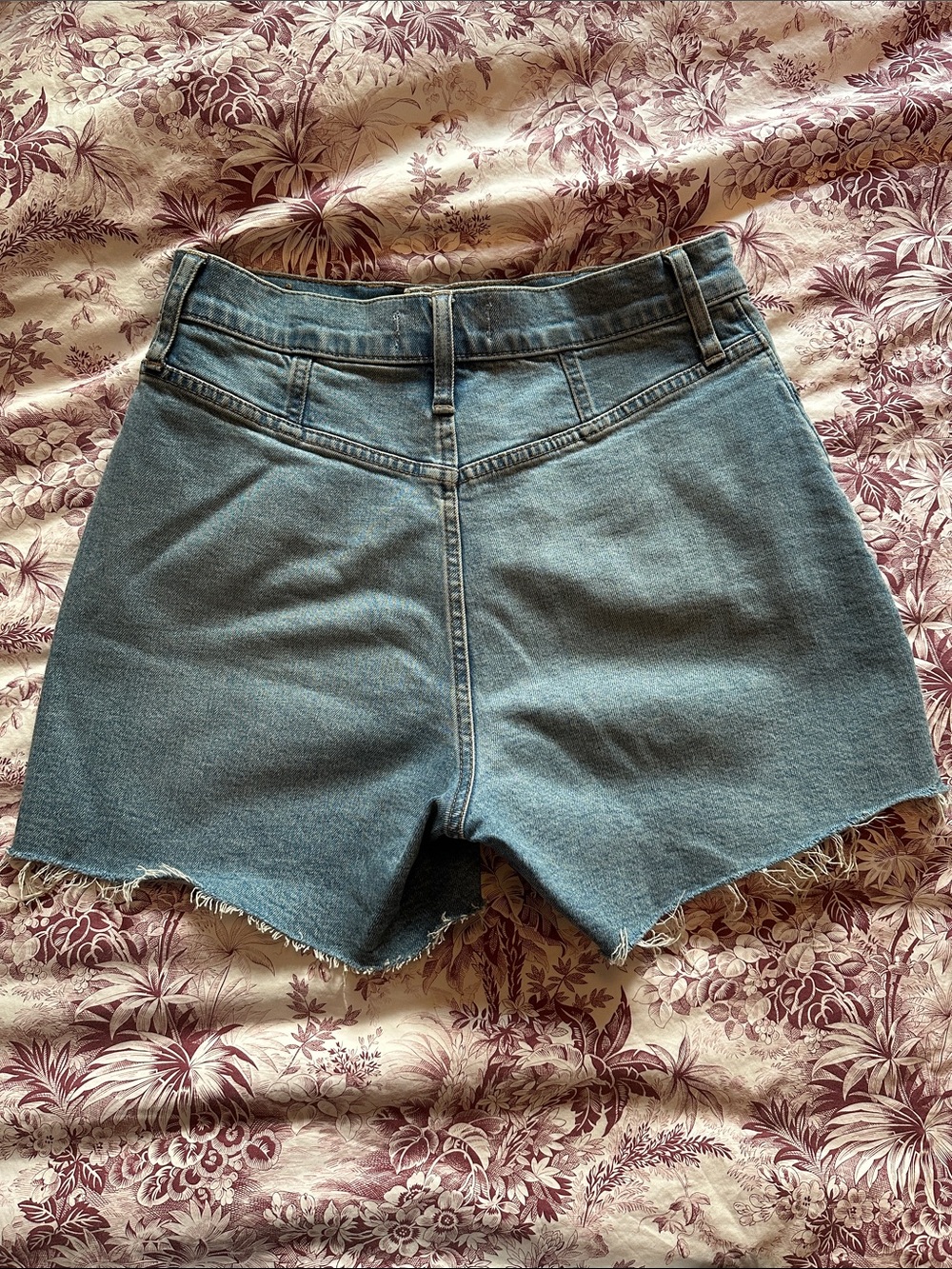 Madewell Blue Denim Cutoff Shorts - Picture 2 of 7